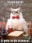 mad scientist cat.jpg