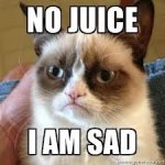 OTJ day 14 no juice cat.jpg