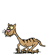 cat1.gif