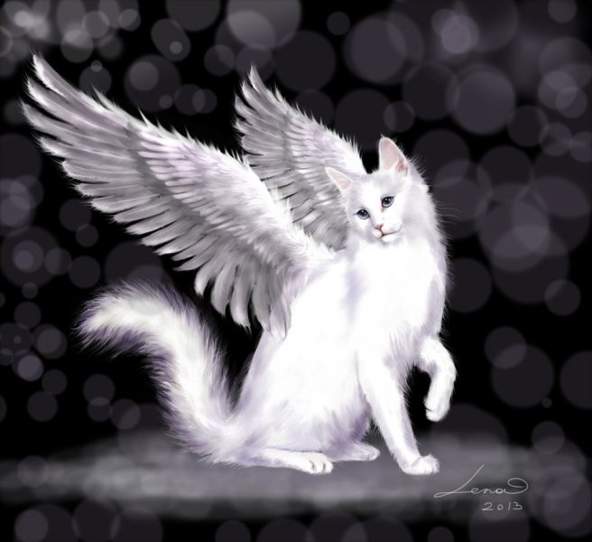 angel_cat_by_legadema666-d6dpmmx.jpg