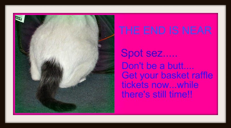 basket raffle.jpg