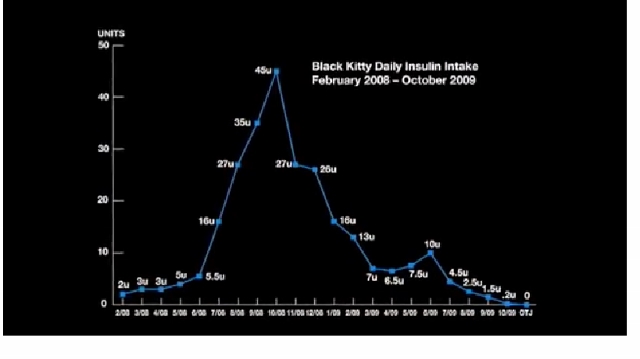 BK insulin graph (640x359).jpg