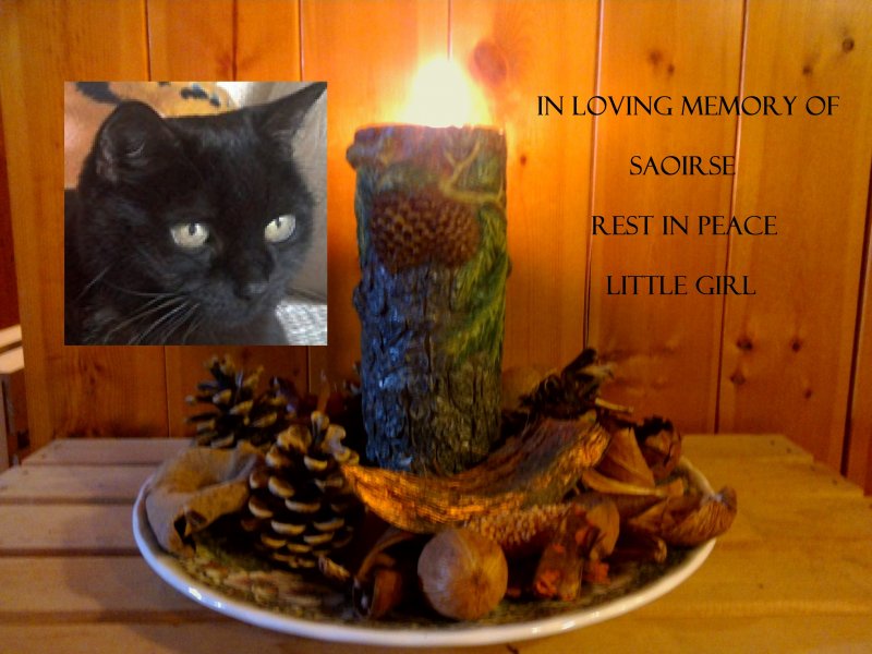 Candle for Saoirse.jpg