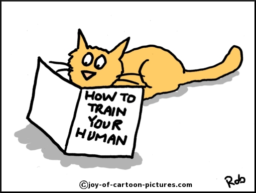 cartoon-cat-training.jpg