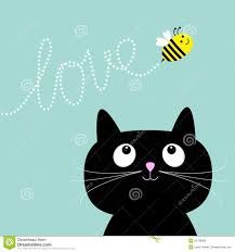 cat & bee.jpg