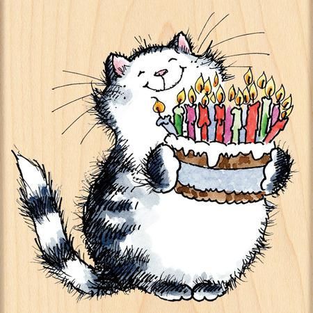 cat happy birthday cake.jpg