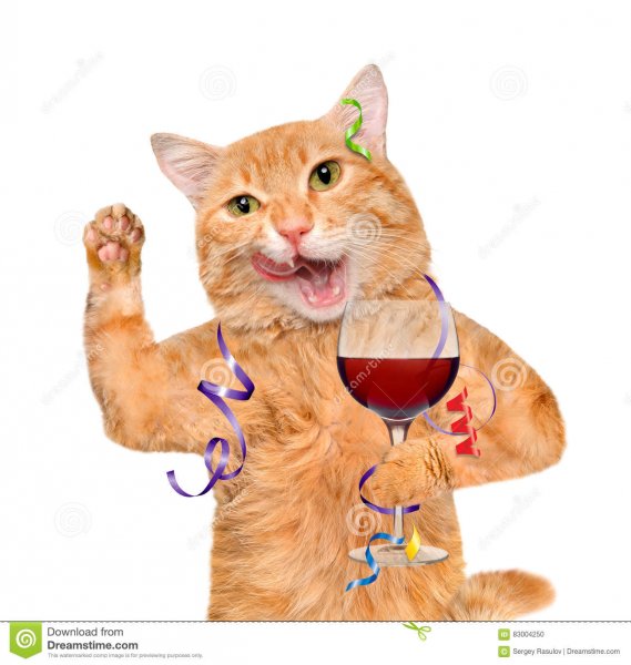 cat-holding-glass-wine-celebrating-isolated-white-background-83004250.jpg
