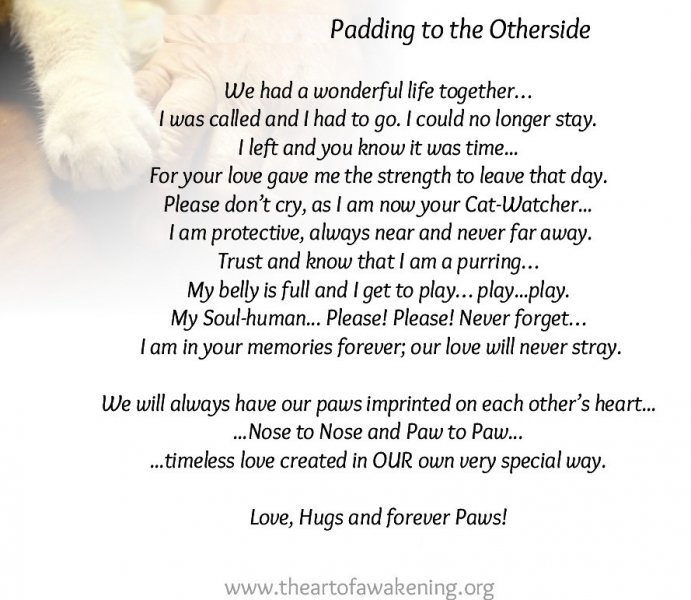 cat-loss-poem-_kt2.jpg