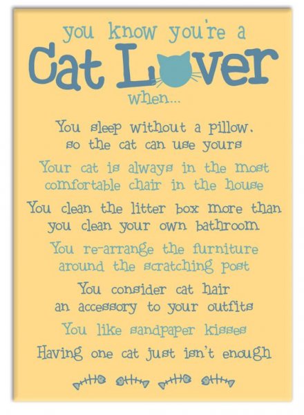 cat lover.jpg