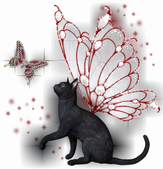 cat with angel wings.gif