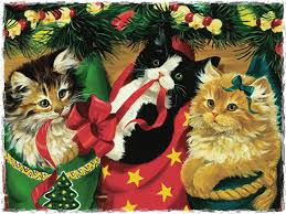 cats in Xmas stockings.jpg