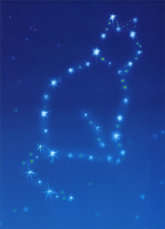 cd1435-cat-constellation-pet-sympathy-card.jpg