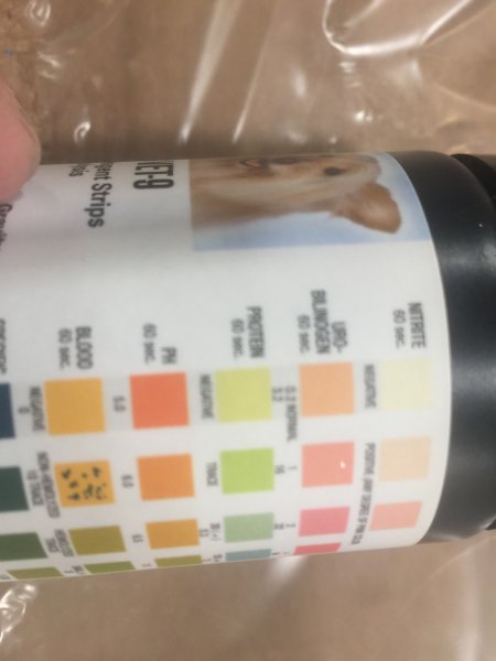 CDF96DE3-C06A-4FDA-8893-900E2D6C7C5D.jpeg