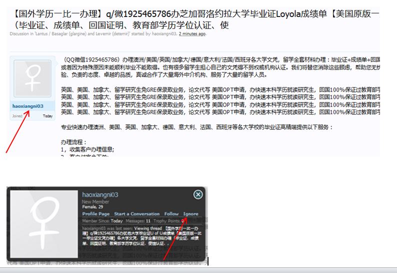 chinese spam.JPG