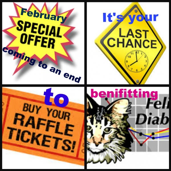 End special offer.jpg