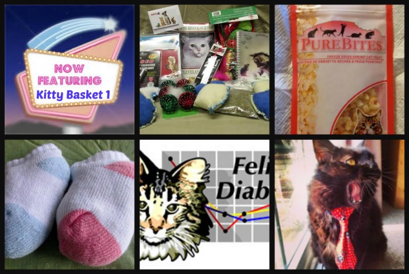 Feature kitty 1.jpg