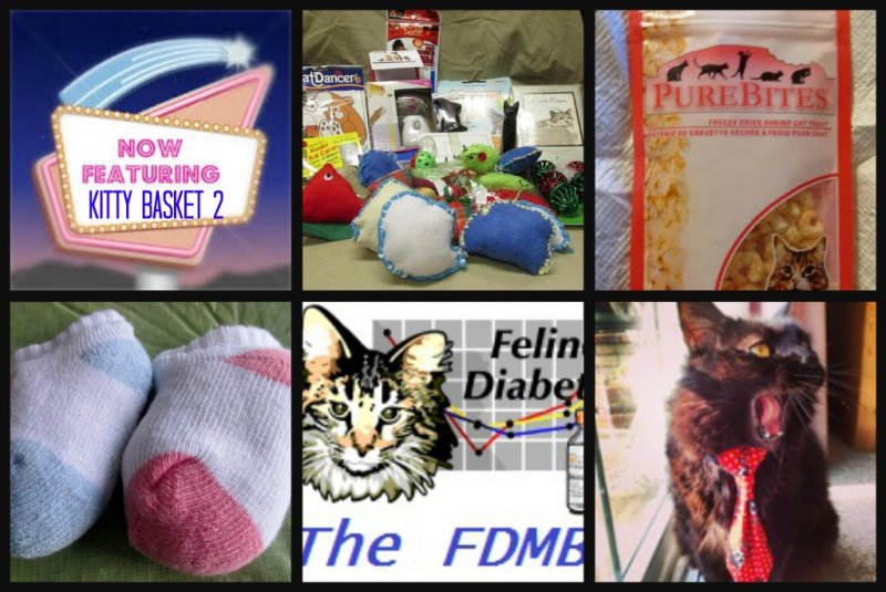 Feature kitty 2.jpg