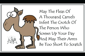 FLEAS OF A CAMEL.png