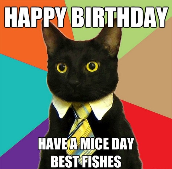 funny-happy-birthday-meme-cat.jpg