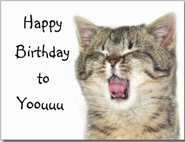 Funny-Happy-Birthday-To-You-With-Cat.jpg