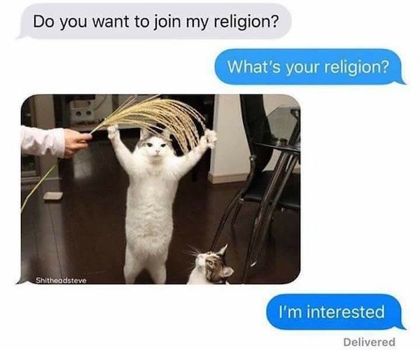 funny-photos-of-join-my-religion-cat-text.jpg