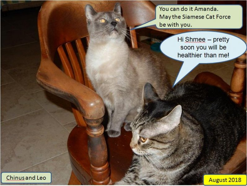 Good luck for Shmee.JPG
