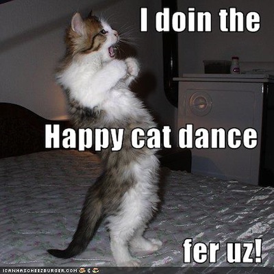 happy-cat-dance.jpg