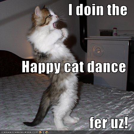 happy-cat-dance.jpg