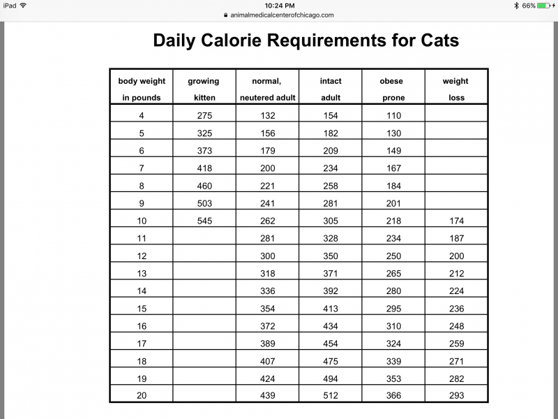 kitten calories.PNG