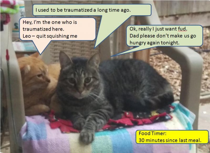 LD and Leo getting over trauma.JPG