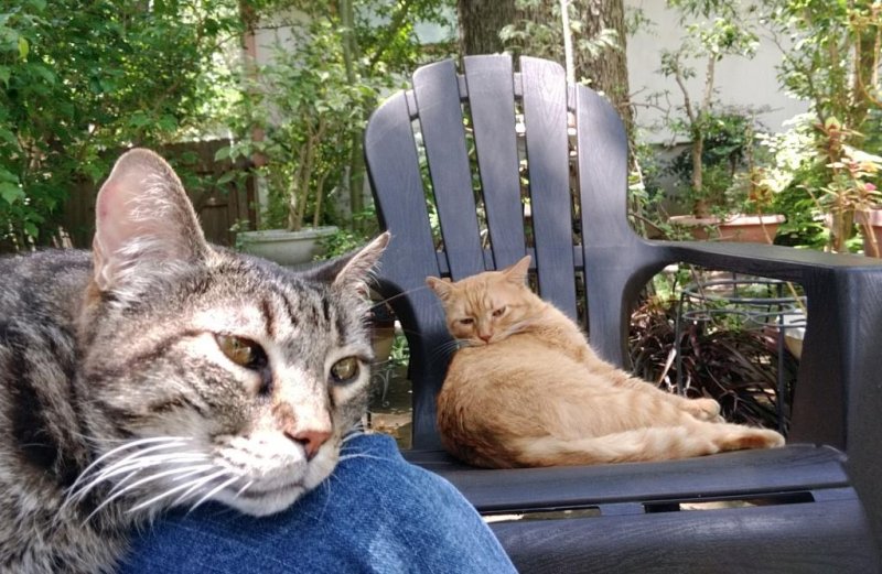 Leo and LD on lap and lawn chairs - 05-26-2019b.jpg