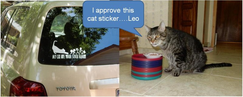 Leo approves cat sticker.JPG