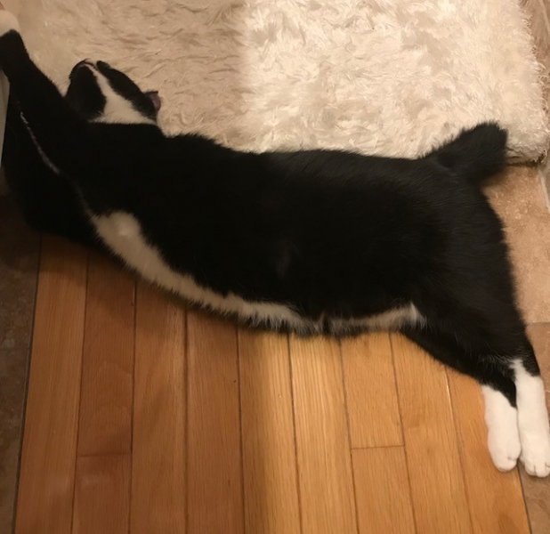 LuciStretches.jpg