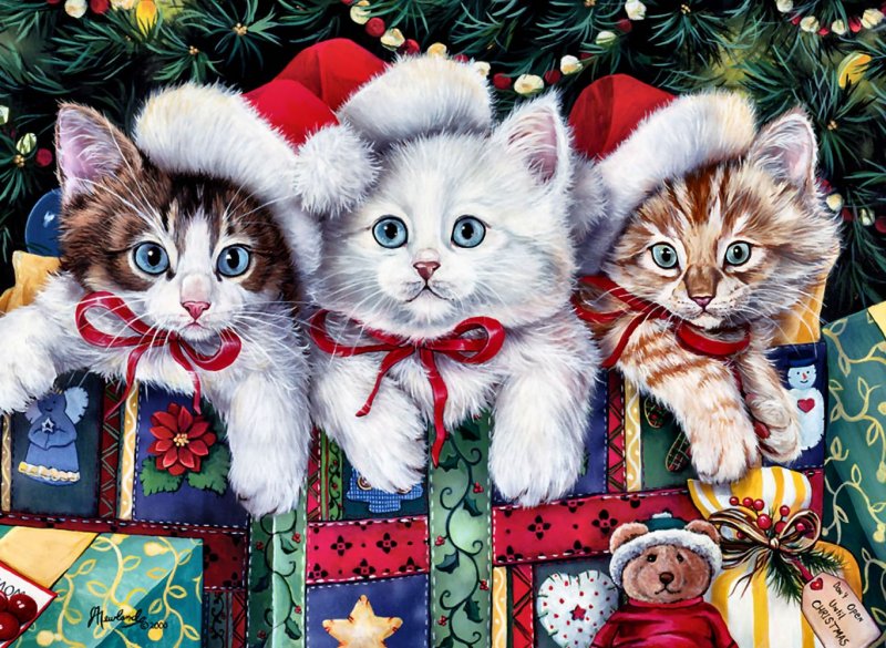 Merry Christmas Kitties.jpg