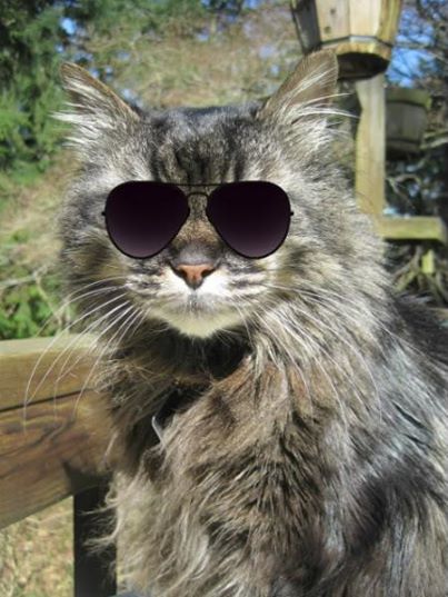 one cool dude.jpg