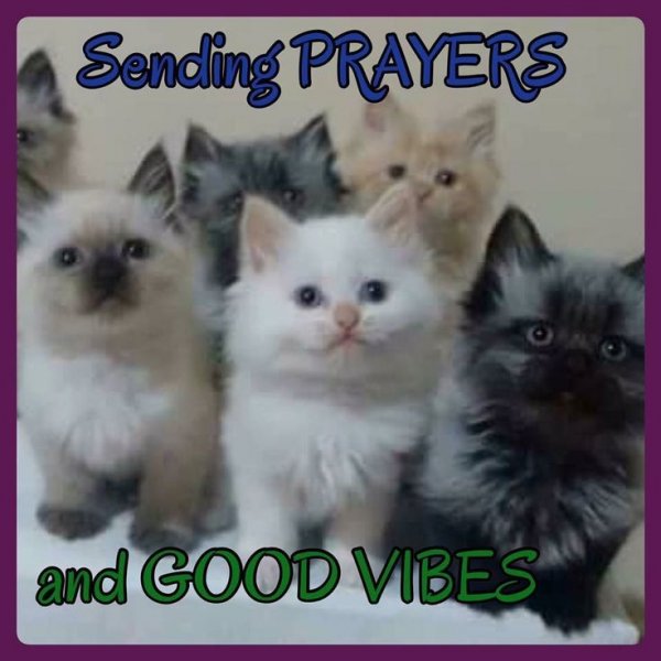 Prayers and good vibes.jpg
