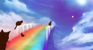 rainbow bridge cats.jpg