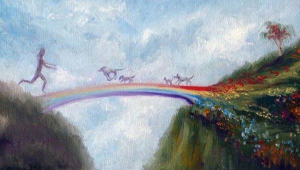 rainbow bridge meeting.jpg