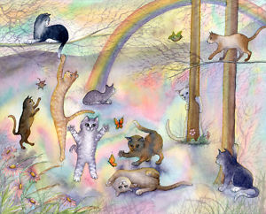 rainbow-cats.jpg