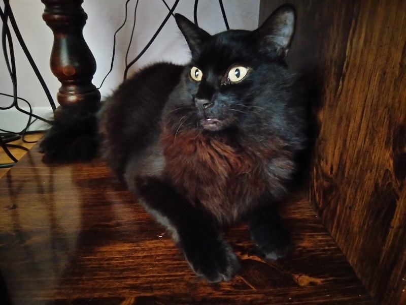sam-coffeetable.jpg
