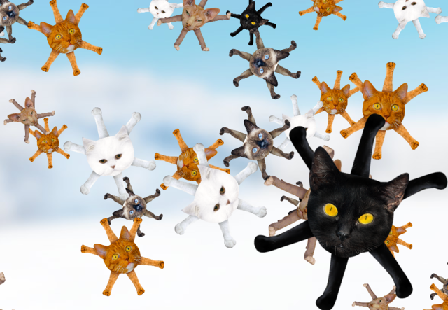 snowflake cats.png