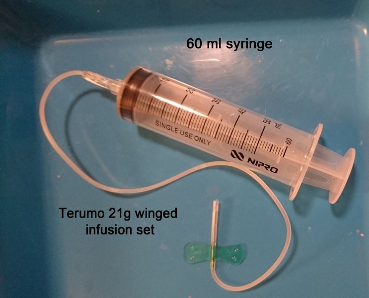 SQs syringe with winged infusion set_2.jpg