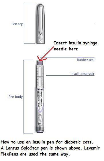syringe in pen pic.jpg