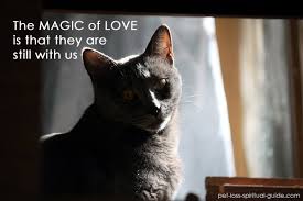 the magic of love is that they are still with us.jpg