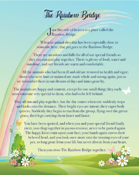 8/13 rainbow bridge poem | Feline Diabetes Message Board - FDMB
