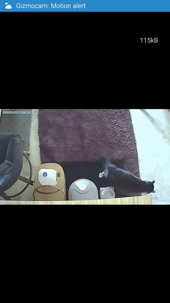 webcam 31218.jpg