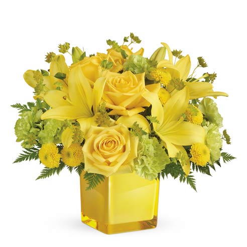 yellow lillies.jpg