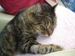 DSC00851.JPG