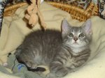 DSC00065.JPG