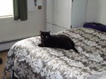2009-12-20 413.jpg
